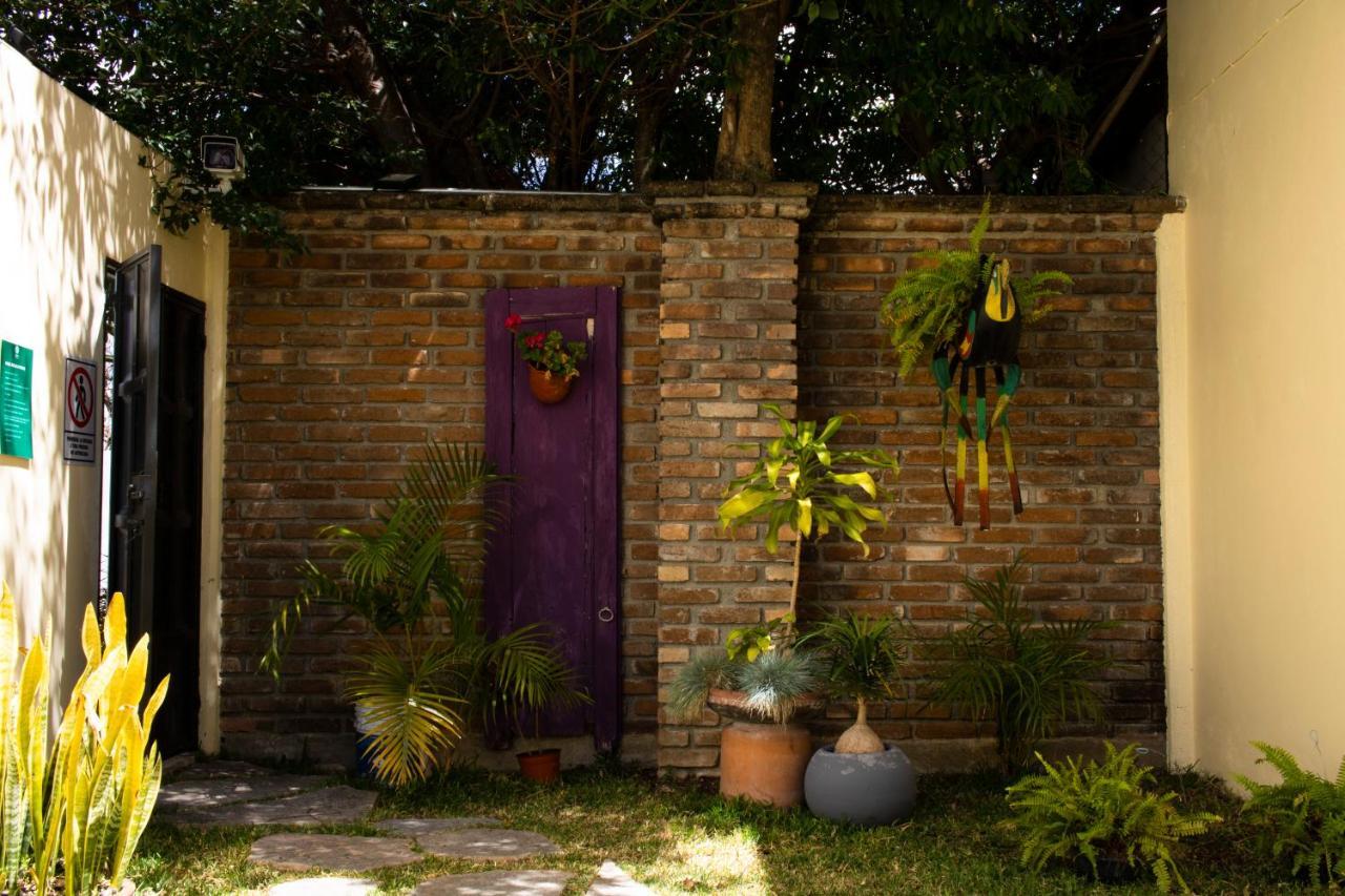 Hotel Nak'An Secreto Maya 科米坦德多明格斯 外观 照片